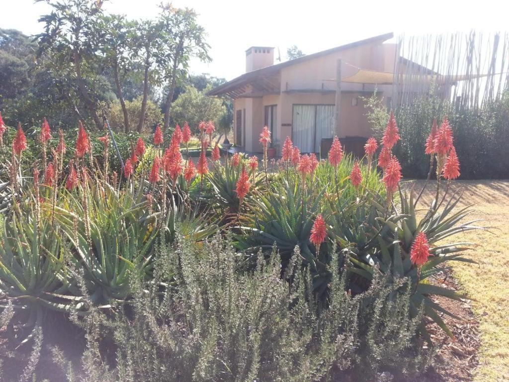 Ama Casa Cottages Champagne Valley Esterno foto