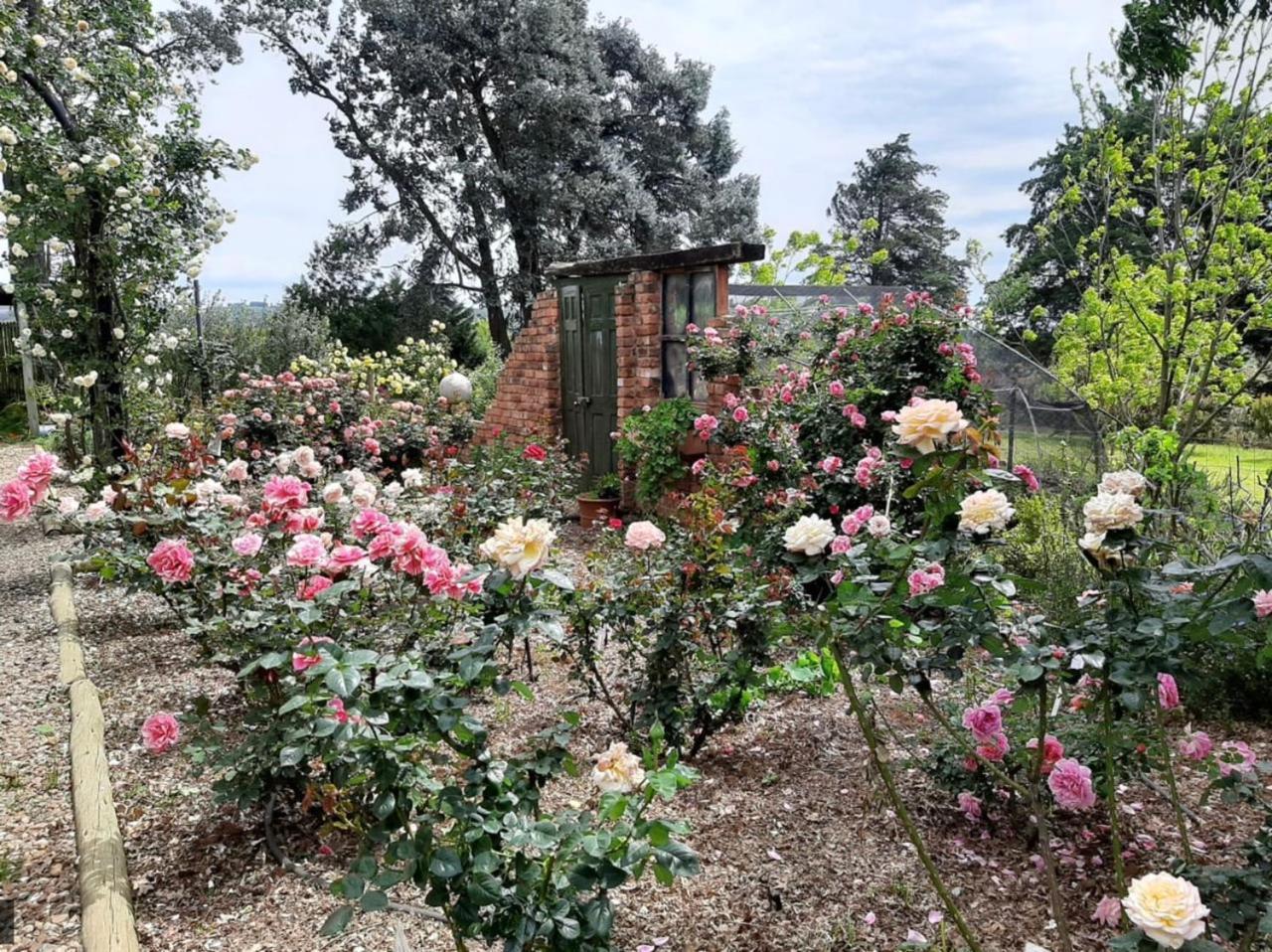 Ama Casa Cottages Champagne Valley Esterno foto