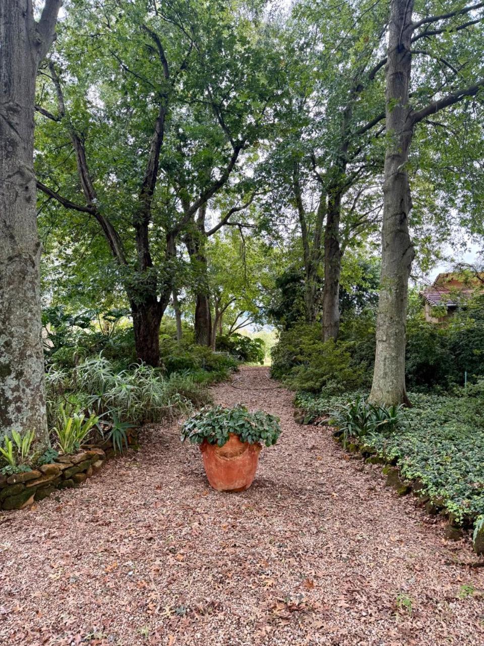 Ama Casa Cottages Champagne Valley Esterno foto